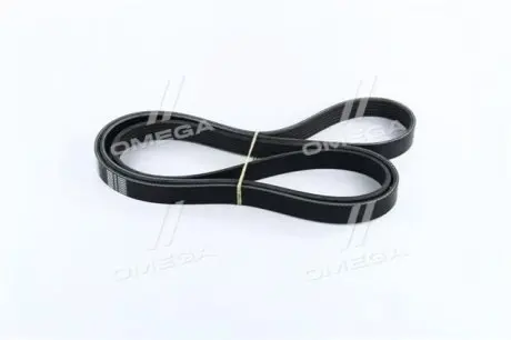 Автозапчастина Dongil 6PK1950 Купити в Україні