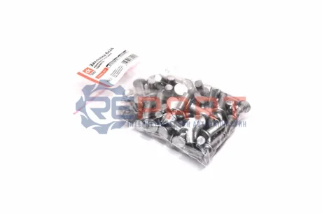 Фото Заклепка 8х24 накладки колодки тормоза КАМАЗ, ЗИЛ (64шт) &lt;ДК&gt; Дорожня карта (25-3501094-02) изображение 1