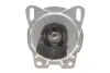 Фото Подушка двигуна Ford Transit 2.3/2.4 TDCi 04 DP Group (B22002) зображення 1