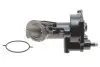 Насос вакуумный Ford Connect 1.8TDCi 02- DP Group (BS93101) изображение 1