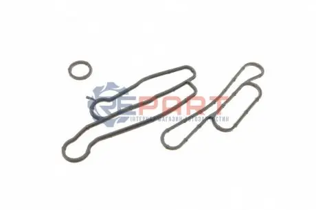 Фото Прокладка радіатора масляного Ford Transit/Custom 2.0-2.4TDCi 06- (к-кт) DP Group (ES 22686) зображення 1