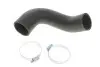 Патрубок интеркулера Ford Connect 1.8TDCI 02- DP Group (FS8197) изображение 2