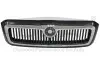 Решітка радіатора Skoda Octavia 00-09 DPA (88531696202) зображення 1