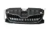 Фото Решітка радіатора Skoda Fabia 14-21 DPA (88531799002) зображення 1