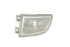 Фара протитуманна Skoda Fabia 99-08 (L) 89410228002