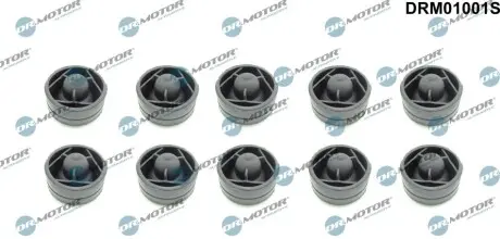 Втулка кожуха двигуна к-т, 10 шт DR.MOTOR DRM01001S Купити в Україні