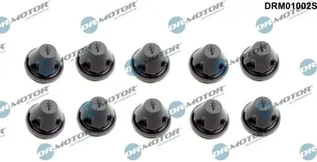 Втулка кожуха двигуна к-т, 10 шт DR.MOTOR DRM01002S Купити в Україні