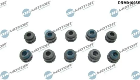 Втулка кожуха двигуна к-т, 10 шт DR.MOTOR DRM01003S Купити в Україні