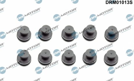 Автозапчасть DR.MOTOR DRM01013S