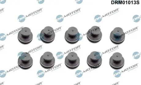 Втулка кожуха двигуна Citroen C4/C5/Peugeot 307/308/508 2.0 HDi 03- (к-кт) DR.MOTOR DRM01013S Купити в Україні