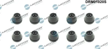 Втулка кожуха двигуна к-т, 10 шт DR.MOTOR DRM01020S Купити в Україні
