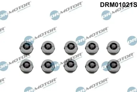 Втулка кожуха двигуна к-т, 10 шт DR.MOTOR DRM01021S Купити в Україні