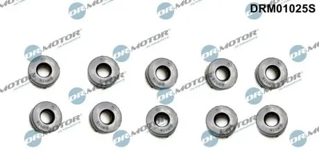 Фото Автозапчасть DR.MOTOR (DRM01025S) изображение 1