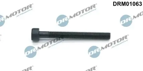 Болт кріплення форсунки VW T5 2.5TDI 96KW DR.MOTOR DRM01063 Купити в Україні