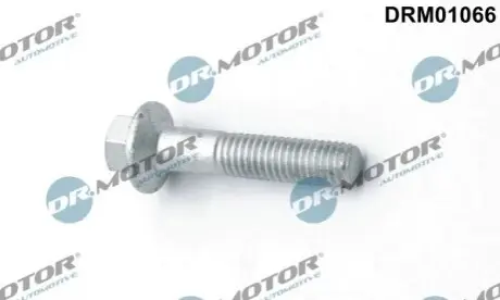 Болт кріплення форсунки Focus/Galaxy II/Mondeo IV 1.8 TDCi 01-15 DR.MOTOR DRM01066 Купити в Україні
