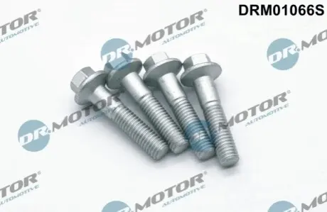 Болт кріплення форсунки Focus/Galaxy II/Mondeo IV 1.8 TDCi 01-15 (к-кт 4шт) DR.MOTOR DRM01066S Купити в Україні