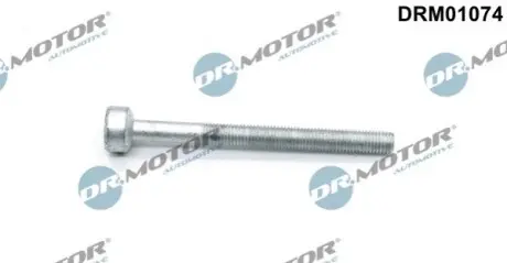 Болт кріплення форсунки MB Sprinter/Vito 2.2CDI OM651 DR.MOTOR DRM01074 Купити в Україні