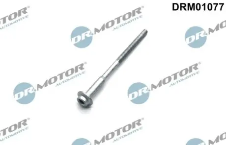Болт кріплення форсунки VW Polo/Skoda Fabia/Roomster 1.2TDI 10-14 DR.MOTOR DRM01077 Купити в Україні