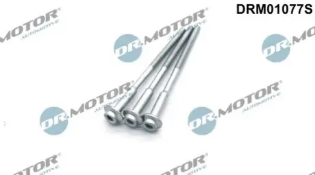 Болт кріплення форсунки VW Polo/Skoda Fabia/Roomster 1.2TDI 10-14 (к-кт 3шт) DR.MOTOR DRM01077S Купити в Україні