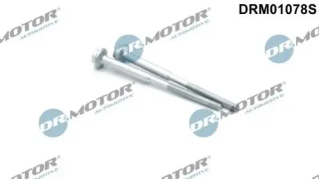 БОЛТ КРЕПЛЕНИЯ ФОРСУНКИ AUDI/ VW 2,0TDiDRM01078 К-Т 2ШТ 10SM DR.MOTOR DRM01078S Купить в Украине