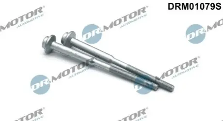 БОЛТ КРЕПЛЕНИЯ ФОРСУНКИ AUDI/ VW 2,0TDiDRM01078 К-Т 2ШТ 11.3SM DR.MOTOR DRM01079S Купить в Украине