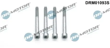 Болт кріплення форсунки Citroen Jumper 2.0 HDi 11-16 (к-кт 4шт) DR.MOTOR DRM01093S Купити в Україні