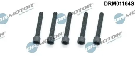 Болт крепления форсунки VW Crafter 2.5 TDI 06-13 (к-кт 4шт) DR.MOTOR DRM01164S