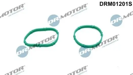 Прокладка колектора впускного Ford Transit 2.0 EcoBlue 15- (8 шт.на авто) DR.MOTOR DRM01201S Купити в Україні