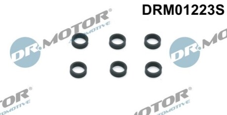 Ущiльнюючi кiльця форсунки, 6 шт DR.MOTOR DRM01223S (фото 1)