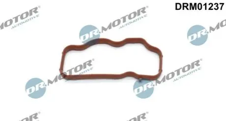 Прокладка колектора впускного Audi A4/A6/Q7/VW Touareg 2.7/3.0TDI 05-11 (R) DR.MOTOR DRM01237 Купити в Україні