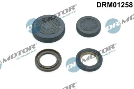 Заглушка ГБЦ Renault Kangoo 1.4/1.6 16V 01- (для розподільного валу) (к-кт) DR.MOTOR DRM01258 Купити в Україні