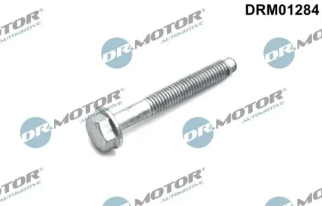 Болт кріплення форсунки Opel Astra J/Insignia A 1.6-2.0 CDTI 14 DR.MOTOR DRM01284 Купити в Україні