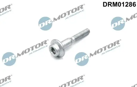 Болт кріплення форсунки Skoda Fabia/Rapid/VW Polo 1.4 TDI 14 DR.MOTOR DRM01286 Купити в Україні