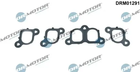 Прокладка колектора впускного VW T5 2.5TDI (к-кт 4шт) DR.MOTOR DRM01291 Купити в Україні