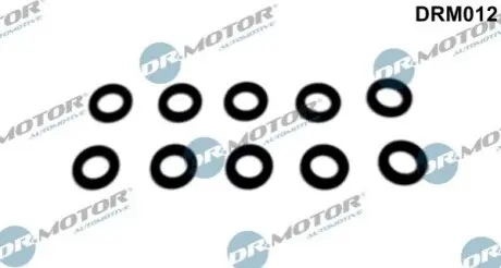 О-подібне кільце форсунки 10 шт. DR.MOTOR DRM012 Купити в Україні