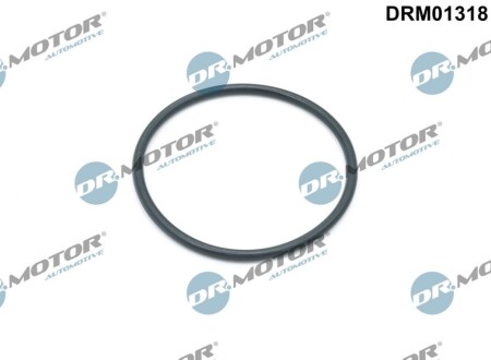 Автозапчасть DR.MOTOR DRM01318