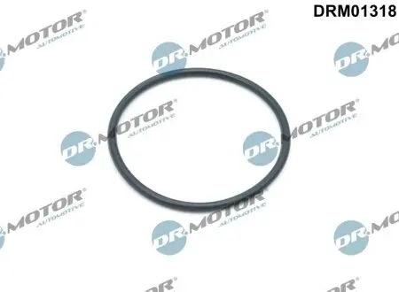 Прокладка масляного фільтра DR.MOTOR DRM01318