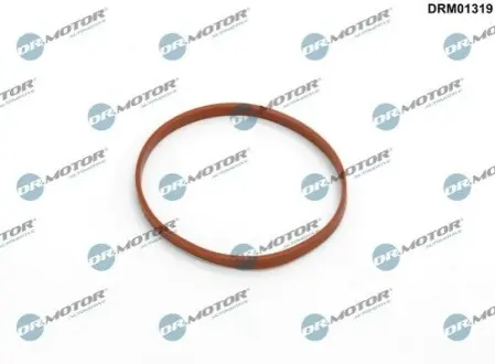 Прокладка колектора DR.MOTOR DRM01319 Купити в Україні
