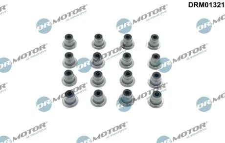 Комплект сальников клапана DR.MOTOR DRM01321 Купить в Украине