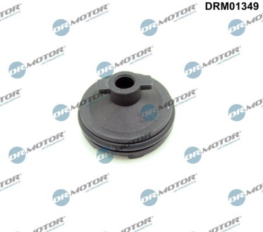 Пробка поддона картера сливная Citroen Jumpy/Peugeot Expert 2.0 BlueHDi 16- DR.MOTOR DRM01349