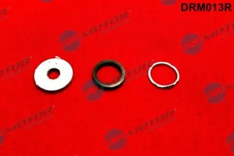 Ремкомплект DR.MOTOR DRM013R Купить в Украине