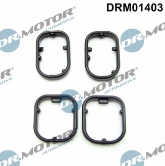 Прокладка корпуса теплообменника масляного фильтра BMW 5 F10 DR.MOTOR DRM01403