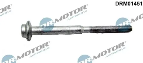 Болт кріплення форсунки Audi A3/Skoda Octavia/VW Golf VII 1.6 TDI 12 DR.MOTOR DRM01451 Купити в Україні