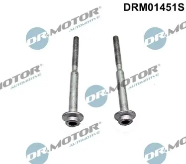 Болт кріплення форсунки Audi A3/Skoda Octavia/VW Golf VII 1.6 TDI 12- (2 шт) DR.MOTOR DRM01451S Купити в Україні