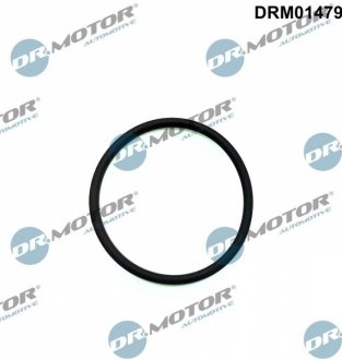 Автозапчасть DR.MOTOR DRM01479