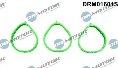 Прокладка впускного колектора DR.MOTOR DRM01601S
