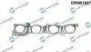 Фото Прокладка випускного колектора DR.MOTOR (DRM01687) зображення 1