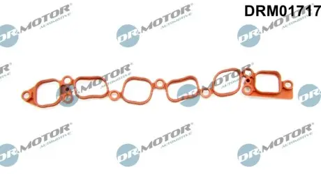 Прокладка впускного колектора DR.MOTOR DRM01717