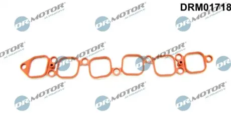 Прокладка впускного колектора DR.MOTOR DRM01718