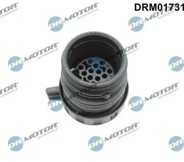 Роз'єм (фішка) АКПП BMW 3 (E90)/5 (E60) 05-11 N47/N54/N43/N52/N53/N46 DR.MOTOR DRM01731 Купити в Україні
